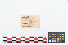 Etikett zu Eisengriffdornmesser (NHMW-PRAE-026164)